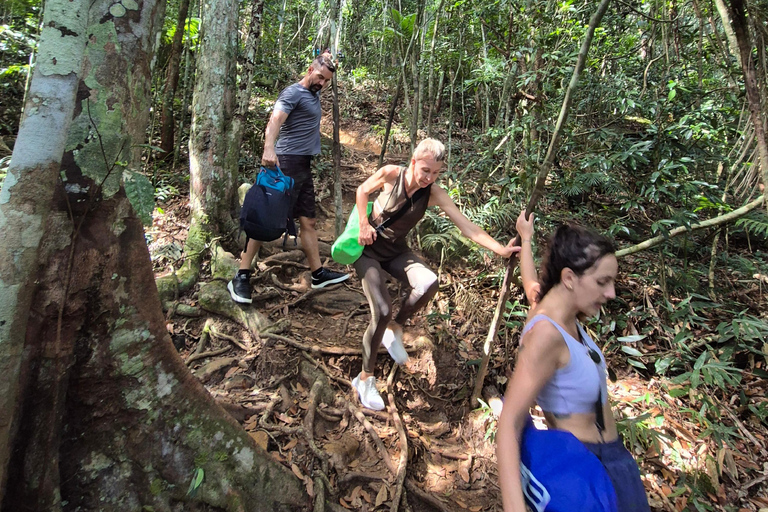 Paraty: Mamangua's Sugarloaf Hike with taxiBoat and transfer