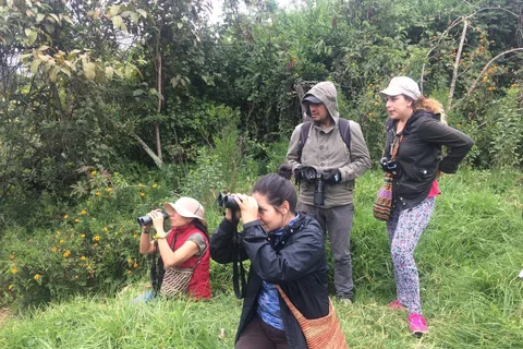 Excursão de um dia para observação de pássaros no Parque Natural de Chicaque