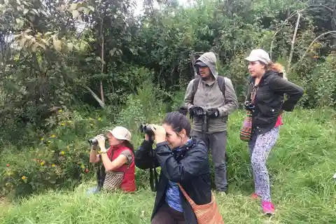 Excursão de um dia para observação de pássaros no Parque Natural de Chicaque