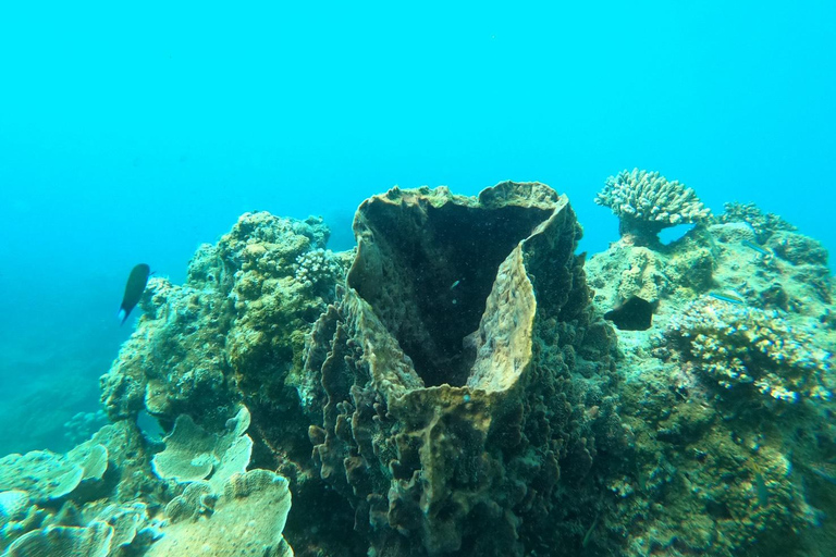 Krabi: 4 Islands Late Tour – No Crowds, Lunch Included
