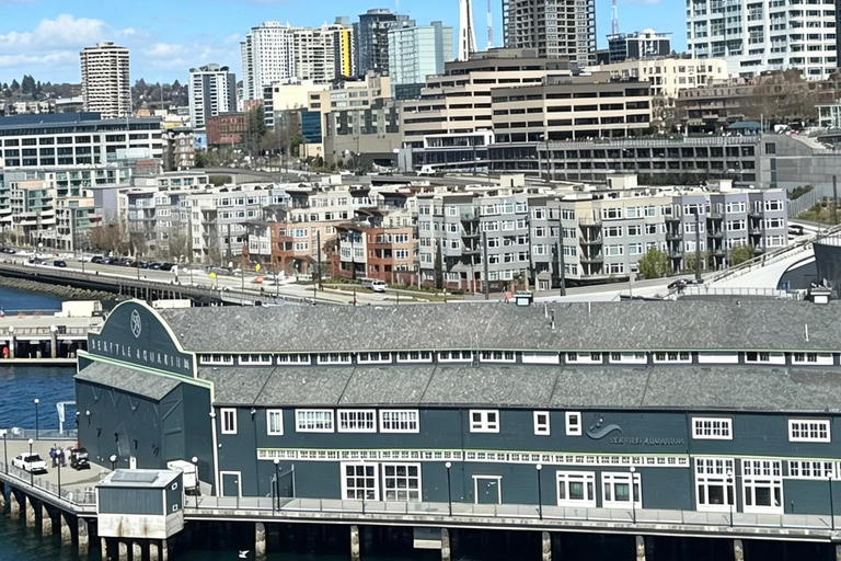 Seattle: Waterfront Gold Rush History Tour with Great Wheel