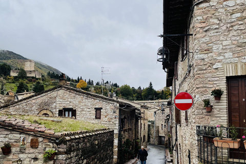 Assisi: Three Saints, St Carlo, Francis & Clare Walking Tour Spanish Tour