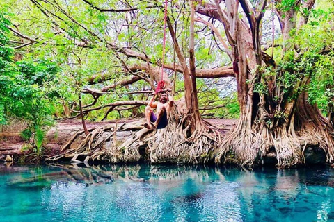 Moshi: Chemka Hot Springs and Local BBQ Picnic Tour