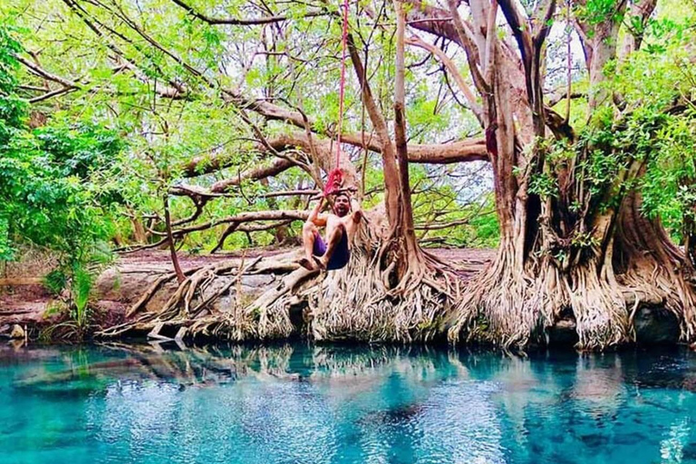 Moshi: Chemka Hot Springs and Local BBQ Picnic Tour