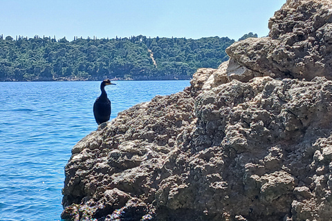 Lokrum Island Scenic Hike: History, Nature & Stories