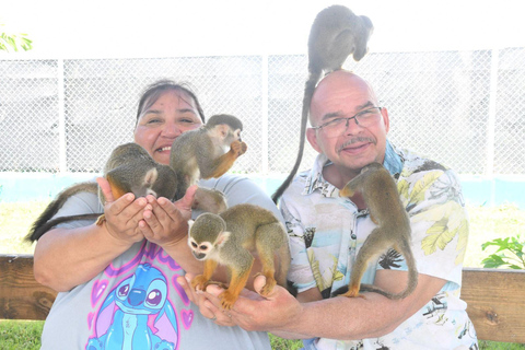 Amber Cove & Taino Bay: Private VIP Monkeys & Beach Escape