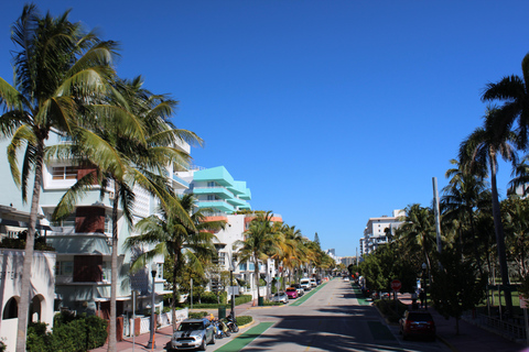 Miami Beach: Combined Sightseeing Bus and Boat Tour Tour with All Fees Included