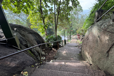 From Colombo: Cave Temples, Jungle Trek & Waterfall Swim