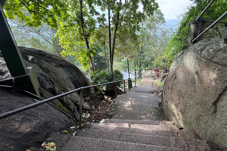 From Colombo: Cave Temples, Jungle Trek & Waterfall Swim