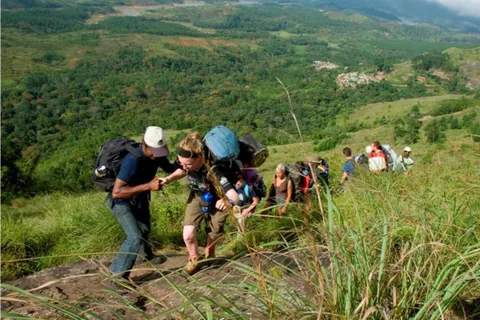 "Private Munnar Day Tour: Trekking & Scenic Highlights"