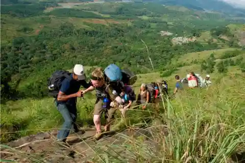 "Private Munnar Day Tour: Trekking & Scenic Highlights"