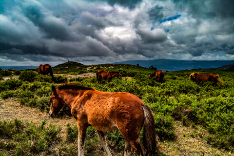 2h Buggy Tour • Arcos de Valdevez • Peneda Gerês Buggy Ride with 2 Seats