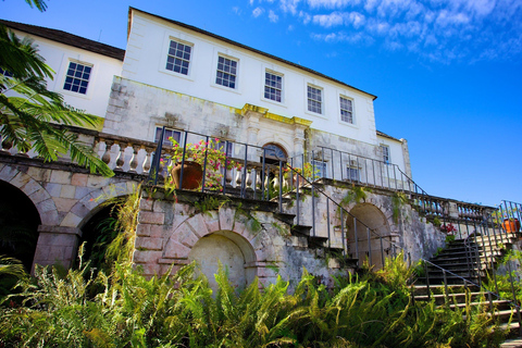 Rose Hall Great House & Gardens Tour | Montego Bay Shared transportation from Lilliput