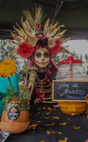 Mexico City: Day of the Dead Boat Sightseeing Tour & Dinner in Xochimilco