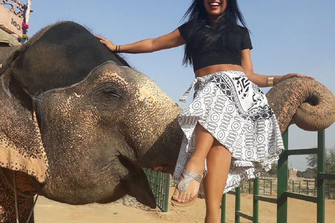 Jaipur: Hathigao Elephant Village Ride, Feeding, & Photos Riding, Feeding, Climbing And Photography with Elephant