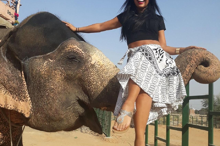 Jaipur: Hathigao Elephant Village Ride, Feeding, & Photos Riding, Feeding, Climbing And Photography with Elephant