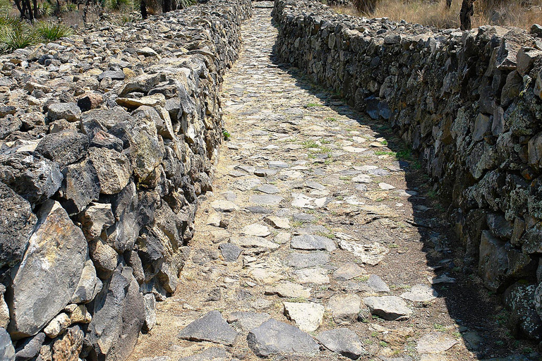 Puebla : le plus grand site archéologique du Mexique et Cholula