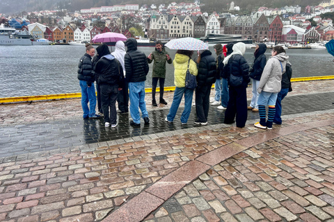 Bergen : visite touristique à pied avec trajet en ferry