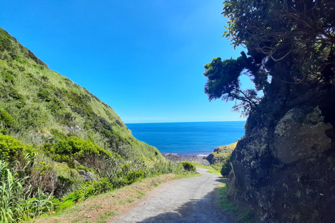 São Miguel: Moinho do Felix-Wanderung mit Besuch der Teefabrik