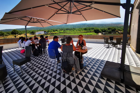 Visite des vignobles avec dégustation de vins