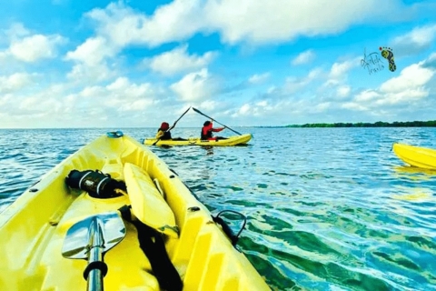 Kayak al atardecer en Negombo