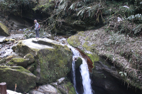 From Pokhara: 4 Day Annapurna Poon Hill with Ghandruk Trek