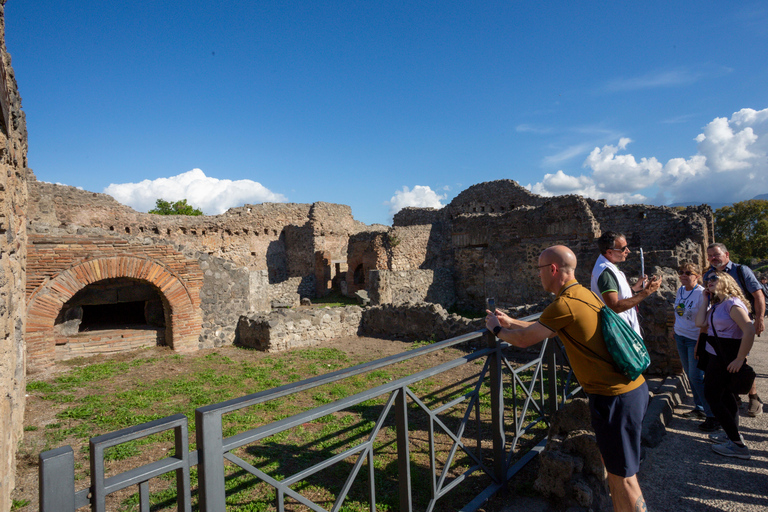From Naples: Exclusive Pompeii Tour with Guide and Tickets Boutique Group Expereince in Pompeii