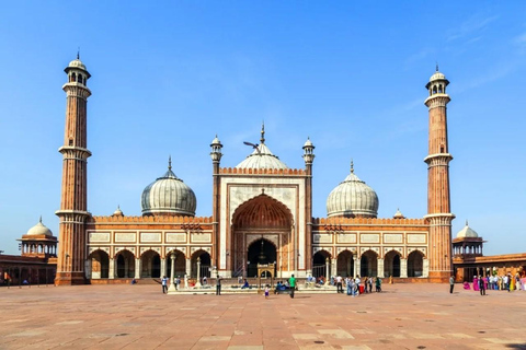 From Delhi: Golden Triangle Tour with Agra, Jaipur & Safari 3-Day Golden Triangle Tour with Taj Mahal, Jaipur & Safari