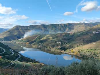 Valle del Douro: scopri la regione vinicola con degustazioni.