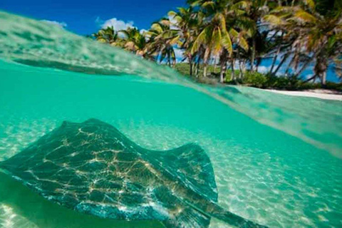 Cancún - jednodniowa wycieczka na wyspę Contoy