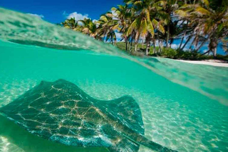 Cancún - jednodniowa wycieczka na wyspę Contoy