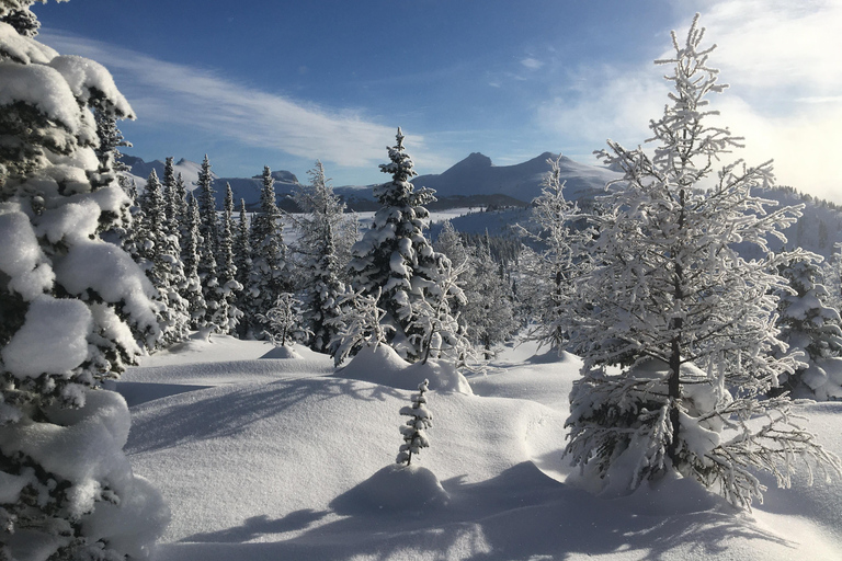 حديقة بانف الوطنية: تجربة المشي بالأحذية الثلجية في صن شاين ميدوز