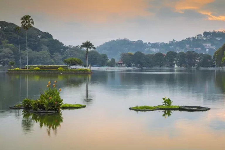 Tour particular de 2 dias a Sigiriya e Kandy com alojamento