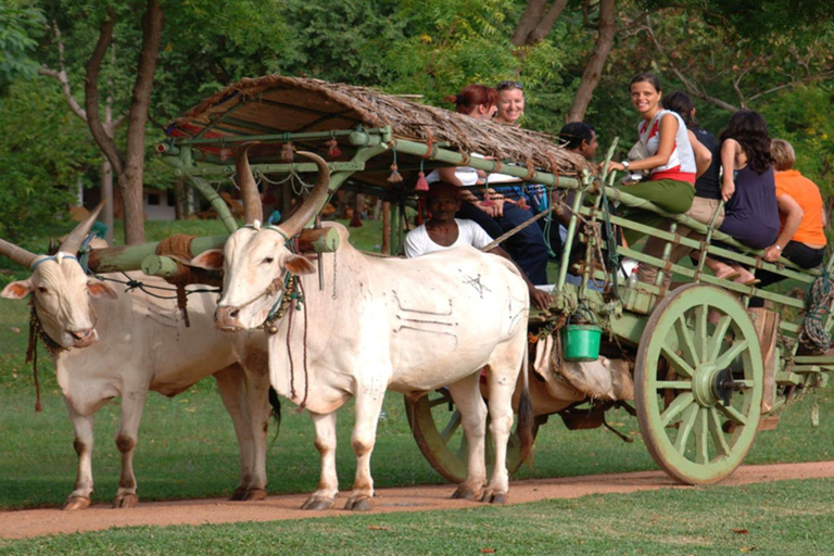 Sigiriya: Sigiriya & Dambulla Day Tour with Lunch
