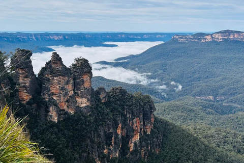 Sydney: Blue Mountains In-depth Tour with Scenic World Ride Meeting Point Pickup and Ferry Return