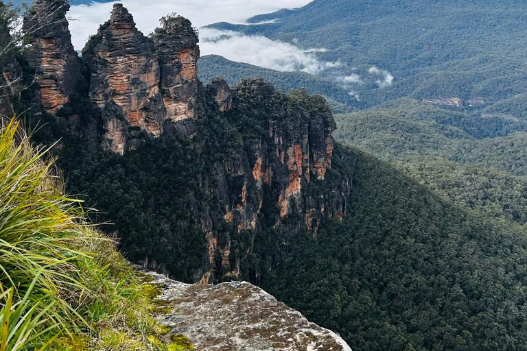 Sydney: Blue Mountains In-depth Tour with Scenic World Ride Meeting Point Pickup and Ferry Return
