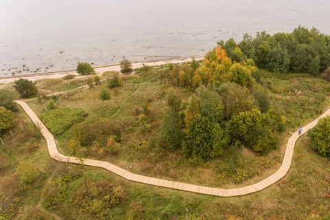 From Tallinn: Private tour around Tallinn city with minivan