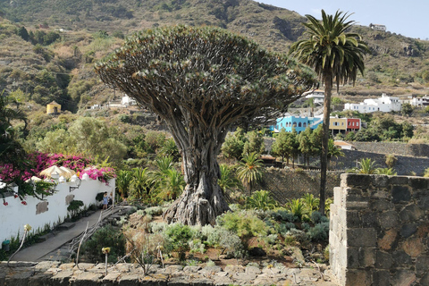 Tenerife: Island Tour with Teide Volcano and Lunch