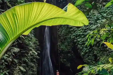 Bali: Northern Bali Private Day Trip with Hotel Transfers