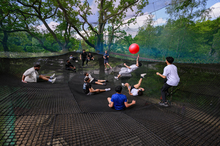 Manchester: Heaton Park bouncy nets (Treetop Nets)