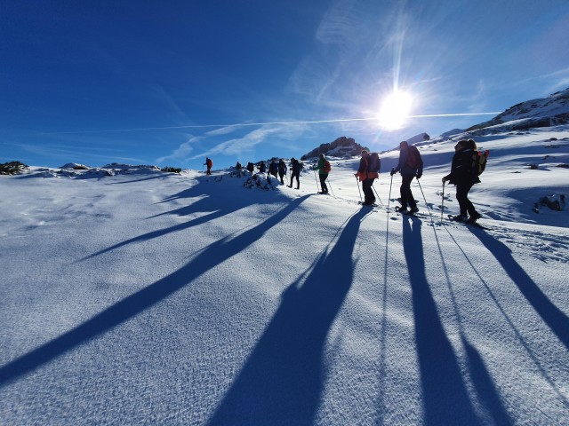 Visit Hirschegg Schwarzwassertal Half-Day Snowshoe Tour in Kleinwalsertal