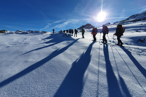 Snowshoe tour Ifen/Gottesacker Allgäu Kleinwalsertal