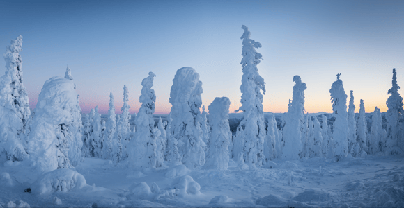 Arctic Circle & Northern Lights - Dalton Highway Tour