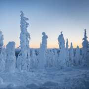 Polarkreis und Nordlichter – Tour auf dem Dalton Highway
