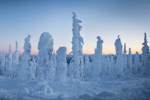 Arctic Circle & Northern Lights - Dalton Highway Winter Tour