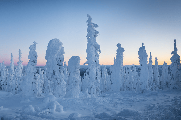 Arctic Circle & Northern Lights - Dalton Highway Winter Tour