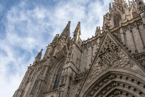 Barcelona: Cathedral of Barcelona Guided Tour