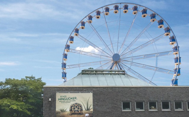 Visit Cologne Ferris wheel in front of the Cologne Zoo in Arcen