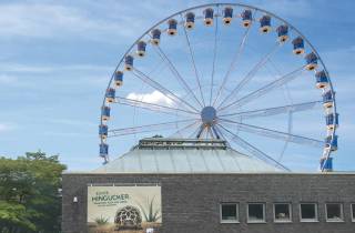 Köln: Riesenrad vor dem Kölner Zoo