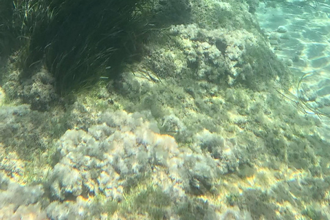 SCALA DEI TURCHI: Rent a KAYAK or Stand Up Paddle for 1 hour [+Snorkeling Kit] SCALA DEI TURCHI 1-hour STAND-UP PADDLEBOARD rental for 1 person